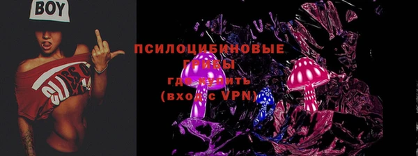 молекула духа Абинск