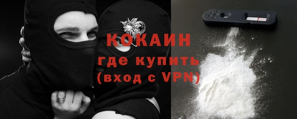 ГАЛЛЮЦИНОГЕННЫЕ ГРИБЫ Осинники
